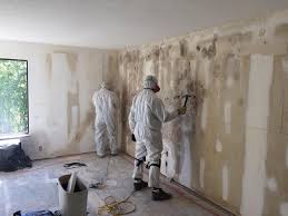 Best Air Quality Testing for Mold Spores  in Batavia, NY